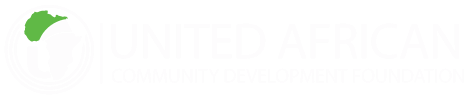 Community Impact Org Logo